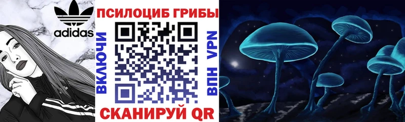 продажа наркотиков  Донской  Галлюциногенные грибы Cubensis 