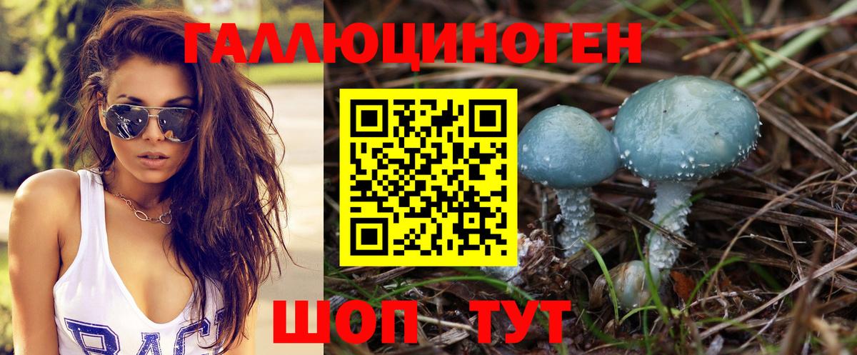 Галлюциногенные грибы Cubensis  Галлюциногенные грибы прущие грибы  Донской  Вход с VPN 