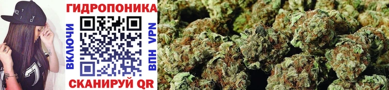 закладка  МЕГА tor  Марихуана Ganja  Донской 