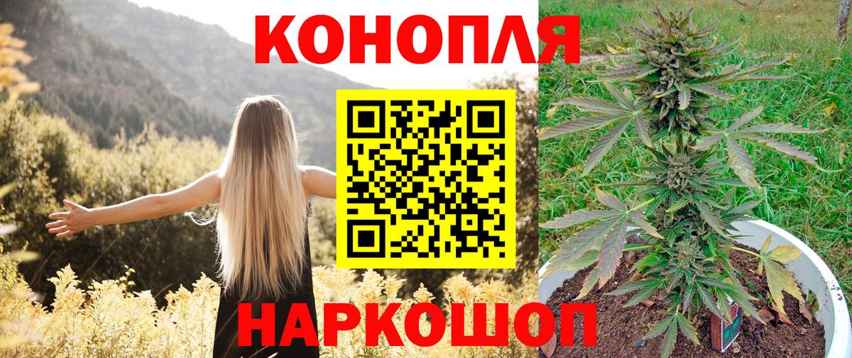 Донской  Шишки марихуана конопля  Марихуана SATIVA & INDICA  Бошки марихуана планчик  Шишки марихуана конопля  Вход с VPN 